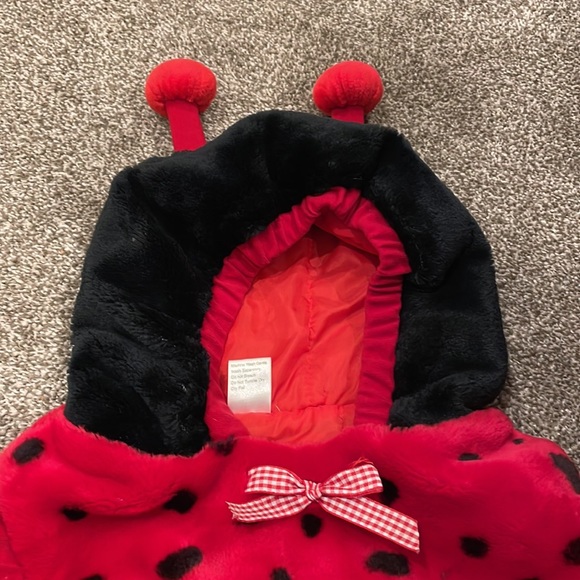 Ladybug Halloween costume size 12-24 months plush - Picture 2 of 5